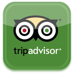 trip-advisor